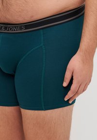 Boxer shorts di colore verde scuro in tessuto morbido, con un cinturino elastico nero e grigio a contrasto che presenta il nome del marchio. Sono visibili i dettagli delle cuciture.