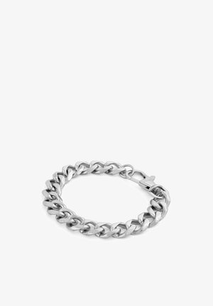 Hõbedane metallist ahelapandla, mis koosneb omavahel seotud lükkestest ja krabi sulgemisest. Sile tekstuur ja läikiv viimistlus.