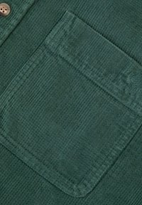 Faguo SIGNY  - Chemise - vert