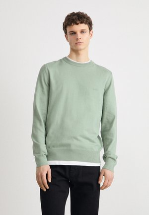 Light green sweater made of soft knit fabric featuring a round neck, long sleeves, and a subtle logo on the chest. Worn over a white shirt.