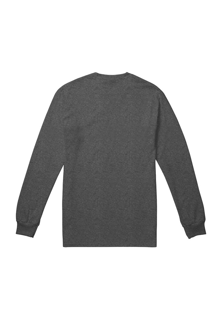 Maglietta grigia a maniche lunghe, realizzata in tessuto morbido, con scollatura a girocollo e polsini a coste, caratterizzata da un design posteriore senza cuciture. Nessun logo o motivo visibile.