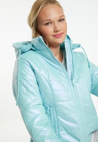 Giacca imbottita blu chiaro con finitura lucida, chiusura con zip e cappuccio regolabile, caratterizzata da un design trapuntato e tasche laterali con zip.