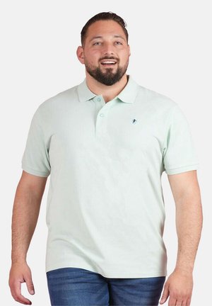 Homme souriant portant un polo vert clair à manches courtes avec un petit logo sur le côté gauche de la poitrine et un jean bleu, debout devant un fond blanc.