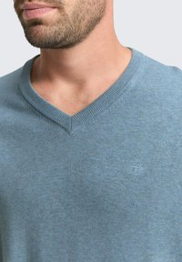 V-Ausschnitt-Pullover in Hellblau. Weicher Stoff mit glatter Textur. Kleines Logo auf der linken Brust. Gerippter Kragen und Bündchen.
