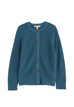 Seasalt Cornwall, SEASALT CORNWALL POTTERS MEADOW CARDIGAN - Gilet - blue - light indigo