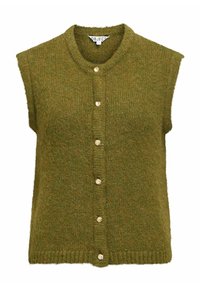 FLÜGELÄRMEL - Waistcoat - fir green
