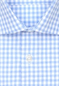 Camicia a quadri blu chiaro e bianca con chiusura a bottoni e colletto a punta. Il tessuto appare leggero e con una texture liscia.