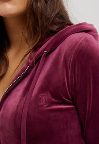 Velvet burgundy zip-up hoodie with a soft texture, featuring a subtle embroidered logo and drawstring accents on the hood.
