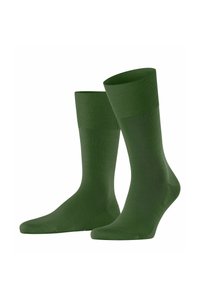 Unausgewählt, cypress