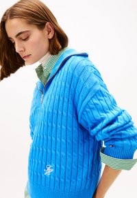 Pulover albastru tricotat cu model texturat, guler cu fermoar jumătate și manșete rib. Dedede, cămașă verde cu dungi albe vizibilă.