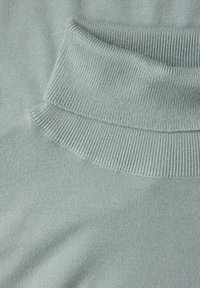 Světlomodrý rolákový svetr s žebrovanou strukturou a přiléhavým límcem. Hladká látka s jemným leskem, zdůrazňující minimalistický design.