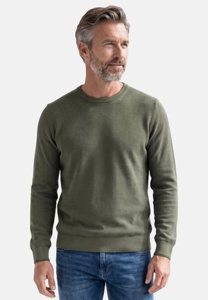 Mann mit grauen Haaren und Bart, trägt einen olivgrünen Rundhalspullover und blaue Jeans, schaut nach rechts vor einem schlichten hellen Hintergrund.