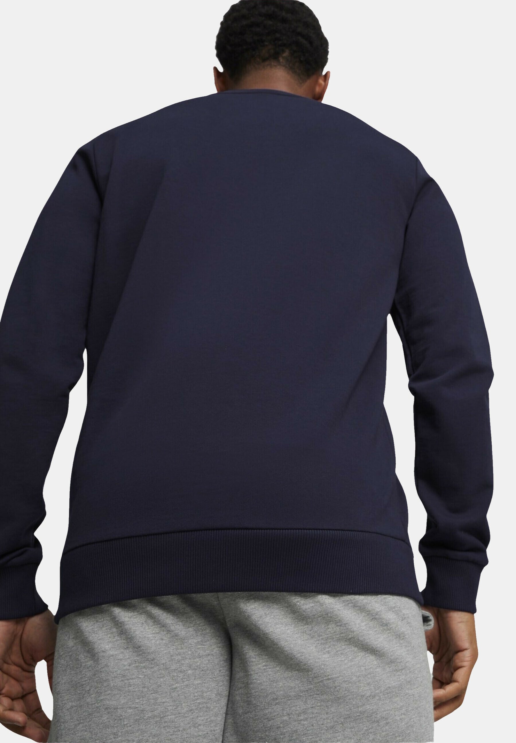 スウェット・トレーナー PUMA Teamgoal Casual Crew Neck Sweatshirt 65859233 PUMA Teamgoal Casual Crew Neck Sweatshirt 65859233