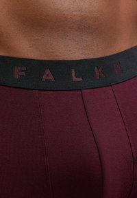 Caleçons pour hommes bordeaux avec une ceinture noire portant le logo "FALKE" en relief, texture lisse et détails de couture bien définis.