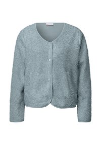 Cardigan in pile blu chiaro con scollo a V, bottoni frontali e maniche lunghe. Presenta una superficie morbida e texturizzata e un orlo arrotondato.