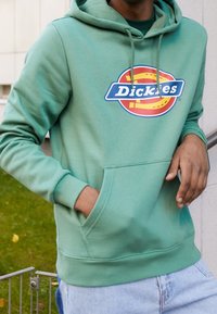 Sudadera verde hecha de una tela suave, con un bolsillo delantero y un logo centrado en el pecho. Corte relajado con puños y dobladillo acanalados.