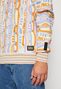 Carlo Colucci RUNDHALS UNISEX - Striktrøje - purple/orange/blue/yellow