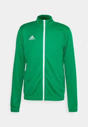 ENTRADA22 TRACK - Sportinė striukė - team green/white