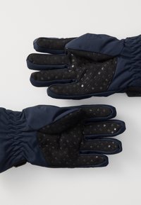 Didriksons BIGGLES GLOVES UNISEX - Gloves - navy