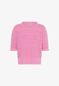 Vybráno, begonia pink