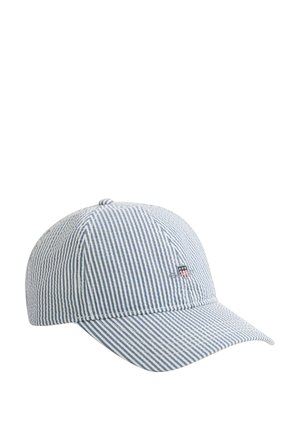 Blauw-witte verticale gestreepte honkbalpet met een klein geborduurd schildlogo op het voorste rechterpaneel.