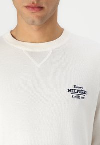 Tommy Hilfiger GRAPHIC CREW - Jumper - ivory petal