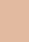 Beige N-042