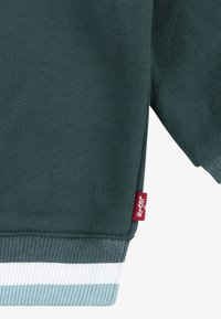 Dunkelgrüner Pullover mit Rippbündchen, verziert mit weißen und hellblauen Streifen. Enthält ein kleines rotes Logotag an der Seitennaht.