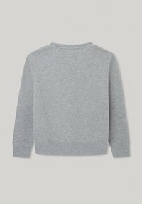 Felpa grigia, in cotone, con scollatura rotonda, maniche lunghe, polsini e orlo a coste, texture morbida, design semplice senza motivi.