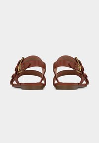 Sandales plates en cuir marron avec des brides à boucle dorée, vues de dos sur un fond gris clair uni.