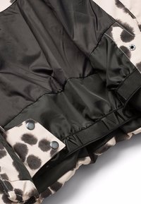 Molo HANSINE SKIWEAR JACKET - Žieminė striukė - beige
