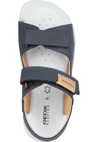 Geox LIGHTFLOPPY - Sandalias de senderismo - navy