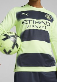 Grøn fodboldtrøje med lange ærmer og mørkeblå vandrette striber, med ETIHAD AIRWAYS-logo, kombineret med en sort og grøn fodbold.