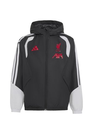 Kind mit lockigem Haar, trägt eine schwarz-weiße Liverpool FC Sportjacke und Hose mit roten Logos, steht vor einem einfarbigen Hintergrund.