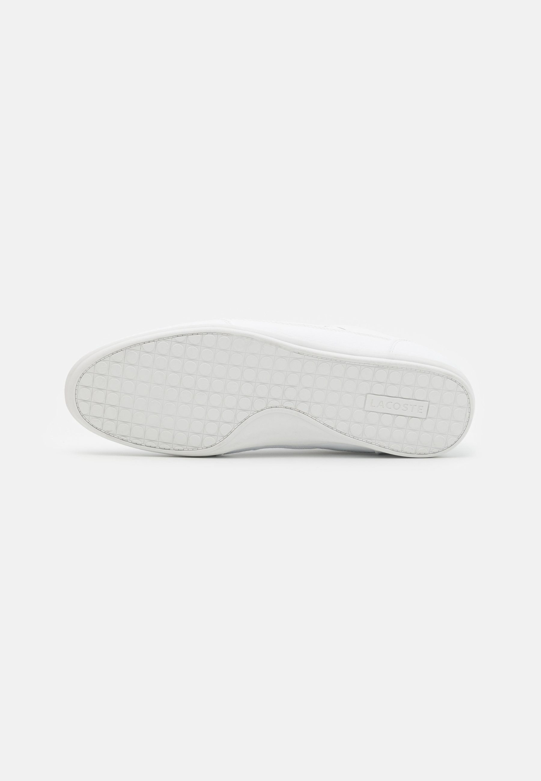 Lacoste CHAYMON - Sneakers laag - white/wit - Zalando.nl