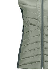 Jack Wolfskin ROUTEBURN PRO INS - Smanicato - mint leaf