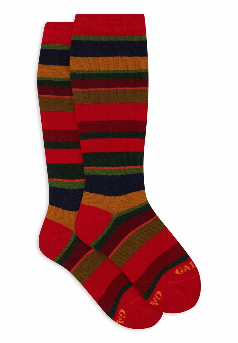 Calze al ginocchio con audaci strisce rosse, verdi, blu navy e senape, con una superficie liscia e punte rinforzate. Logo dorato vicino alla punta.