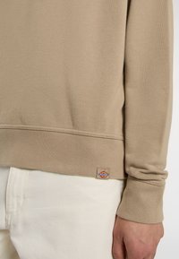 Beige sweatshirt gemaakt van zachte stof, met ribbelboorden en -zoom. Bevat een klein bruin logopatch nabij de taille.