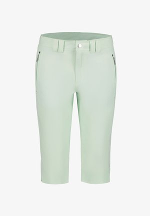 Helle grüne Shorts aus glattem, leichtem Stoff. Mit zwei Reißverschlusstaschen vorne und einem flachen Bund mit Gürtelschlaufen.