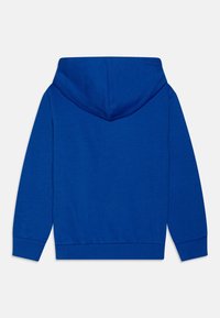 Felpa blu con una texture morbida, cappuccio regolabile, maniche lunghe e polsini e orlo a costine. Design semplice senza motivi o dettagli.