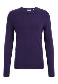 Lila tröja i stickad tyg med rund hals, långa ärmar och ribbade muddar och fåll, med en enkel och enfärgad design.