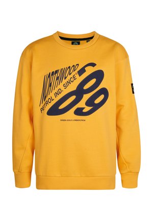GRAPHIC ALLEGHENY - Sweatshirt - amber