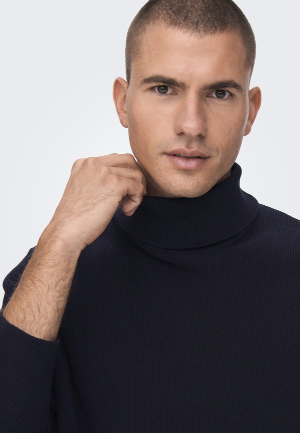 ONSPHIL ROLL NECK  - Jumper2