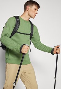 Patagonia FITZ ROY ICON UPRISAL CREW - Sudadera - terrain green