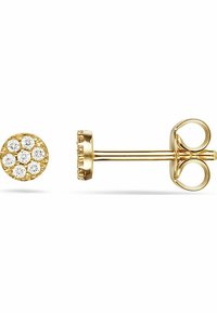 Guldstiftörhängen med en cirkulär design där sex runda, klara ädelstenar är arrangerade i ett blommönster. Slät yta och polerad finish.