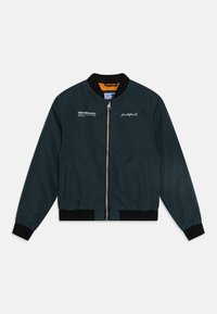 Selected, magical forest