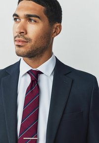 Navy suit with a textured finish, white shirt, and a burgundy tie featuring narrow blue and white stripes. Silver tie clip at the throat.
