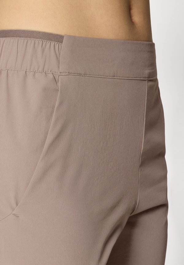 WAYFARER EASE - Outdoor shorts - iron3