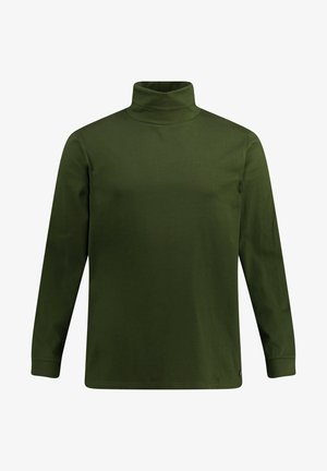 Olijfgroen, langemouwen coltrui, gemaakt van een zachte, lichte stof met een gladde textuur en zonder zichtbare patronen of hardwaredetails.