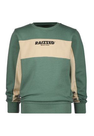Groen en beige color block sweatshirt met een ronde hals, lange mouwen en ribgebreide manchetten. Heeft een zwart logo op de borst.